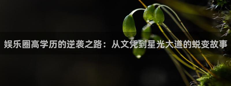 赢咖3主管招商咨询服务平台：娱乐圈高学历的逆袭之路：从文凭到星光大道的蜕变故事