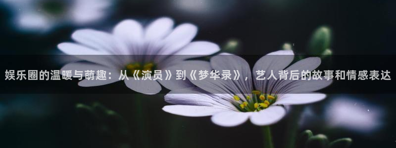 赢咖系列平台官网入口：娱乐圈的温暖与萌趣：从《演员》到《梦华录》，艺人背后的故事和情感表达