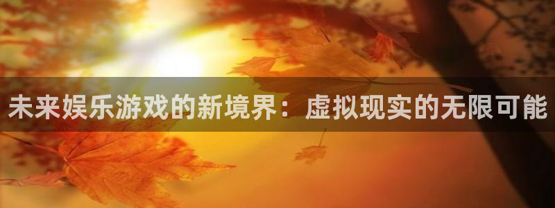 赢咖2平台登录：未来娱乐游戏的新境界：虚拟现实的无限可能