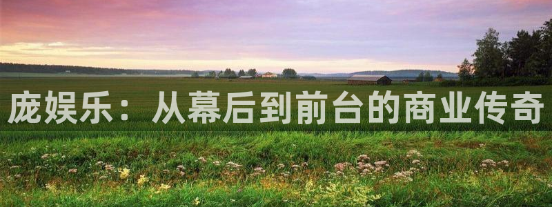 赢咖7：庞娱乐：从幕后到前台的商业传奇