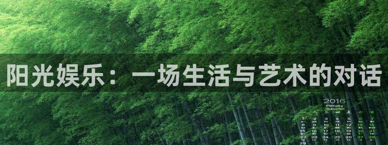 赢咖总代：阳光娱乐：一场生活与艺术的对话