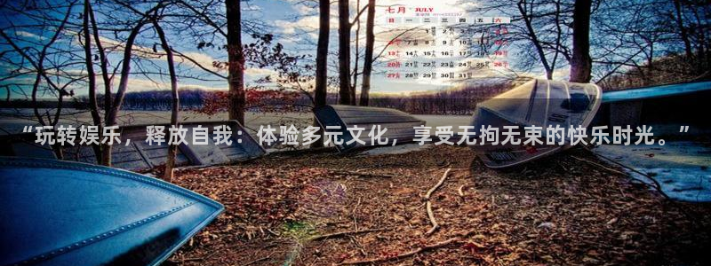 赢咖2首页：“玩转娱乐，释放自我：体验多元文化，享受无拘无束的快乐时光。”