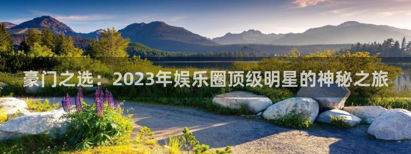 赢咖2登录地址：豪门之选：2023年娱乐圈顶级明星的神秘之旅