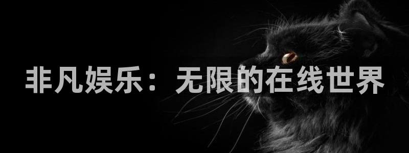 赢咖2：非凡娱乐：无限的在线世界