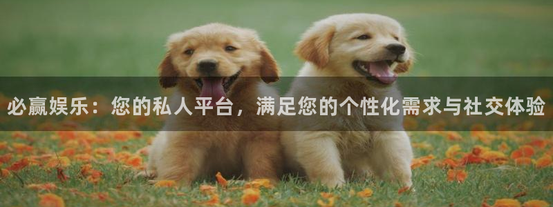 赢咖官方：必赢娱乐：您的私人平台，满足您的个性化需求与社交体验