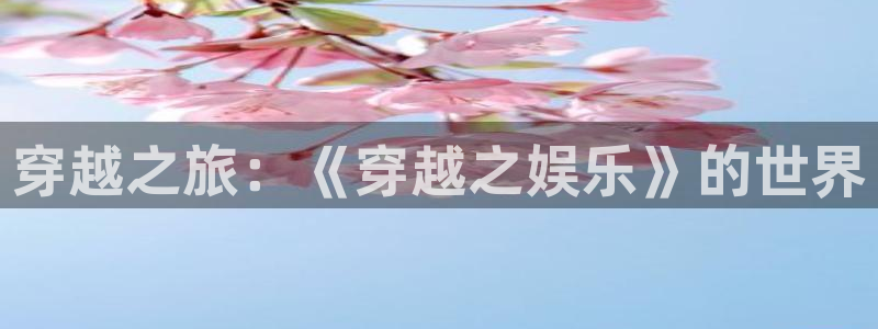 赢咖3：穿越之旅：《穿越之娱乐》的世界