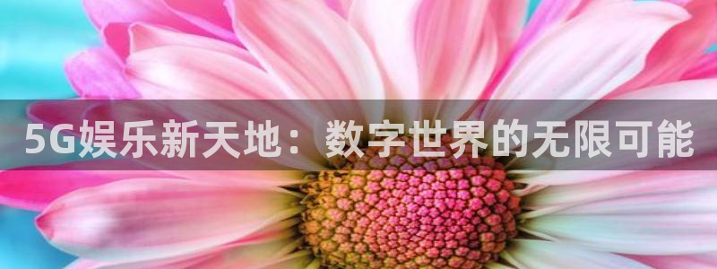 赢咖3：5G娱乐新天地：数字世界的无限可能