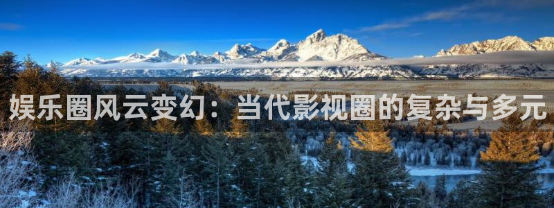 赢咖4：娱乐圈风云变幻：当代影视圈的复杂与多元