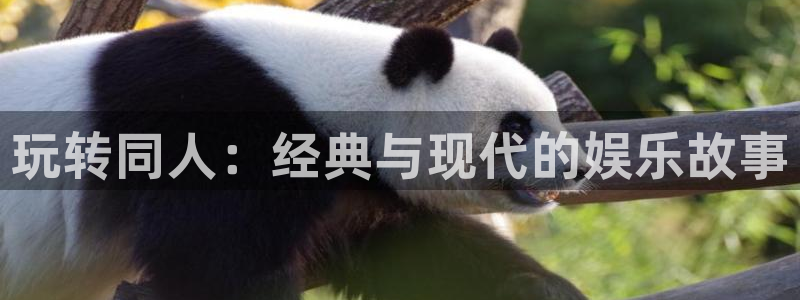 赢咖二app下载：玩转同人：经典与现代的娱乐故事