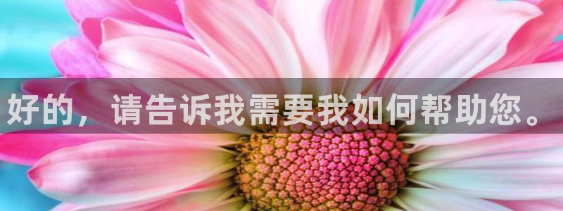 赢咖2平台：好的，请告诉我需要我如何帮助您。