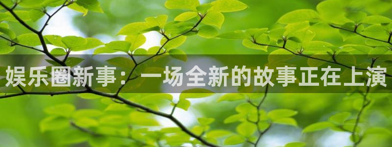 赢咖集团：娱乐圈新事：一场全新的故事正在上演