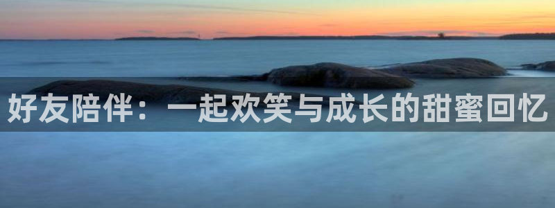 赢咖主管：好友陪伴：一起欢笑与成长的甜蜜回忆