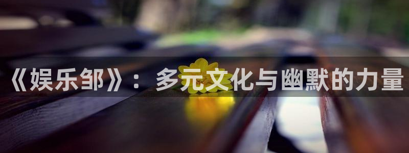 赢咖系列：《娱乐邹》：多元文化与幽默的力量
